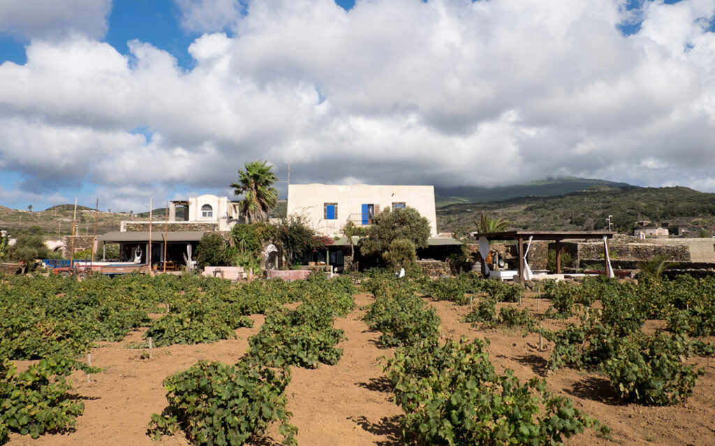 Bukkuram Pantelleria Marco De Bartoli