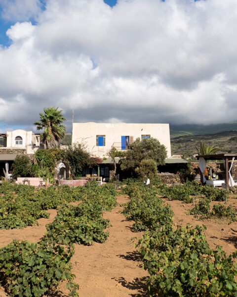 Bukkuram Pantelleria Marco De Bartoli