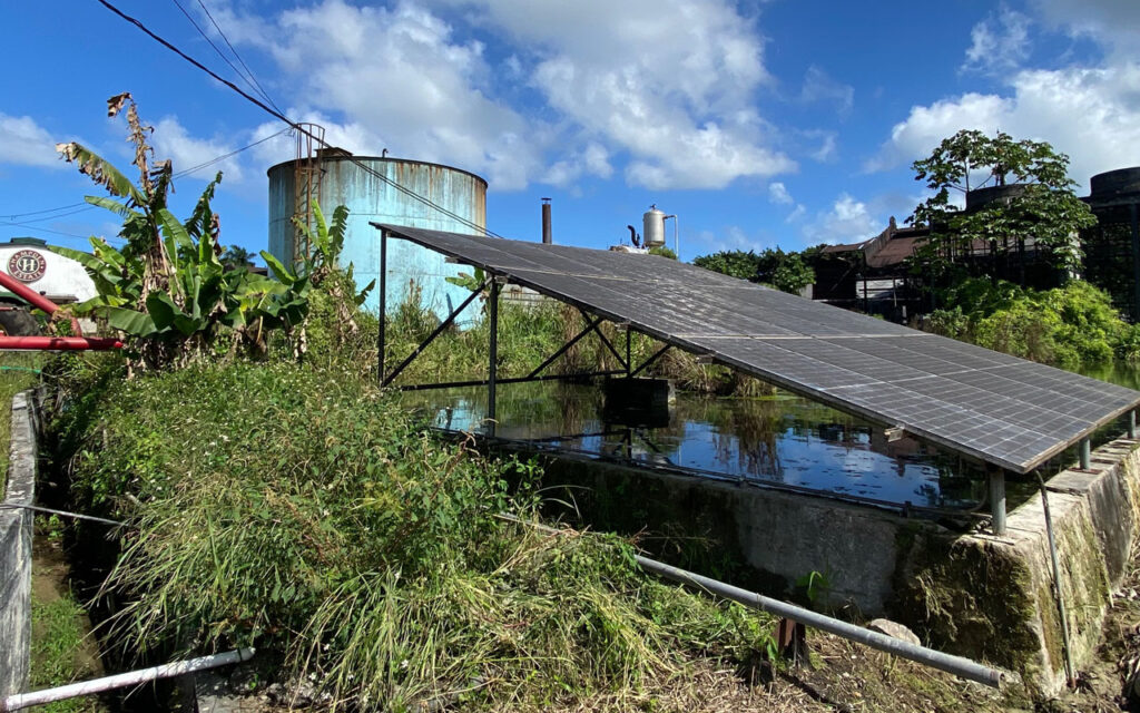 La tenuta in  Giamaica di Hampden Estate