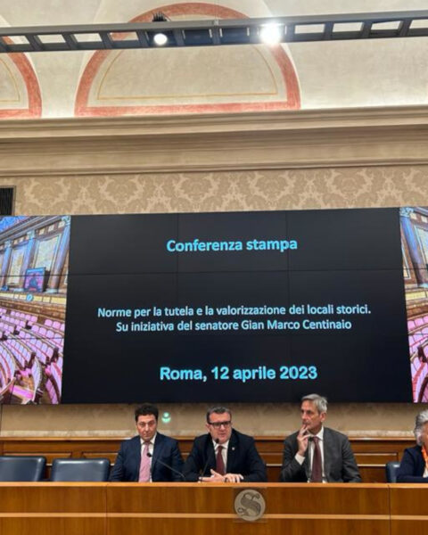 La conferenza stampa di presentazione del disegno di legge