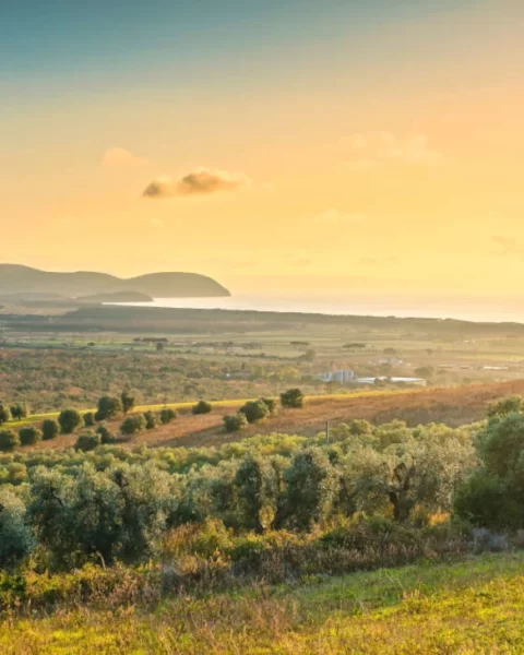 Val di Cornia