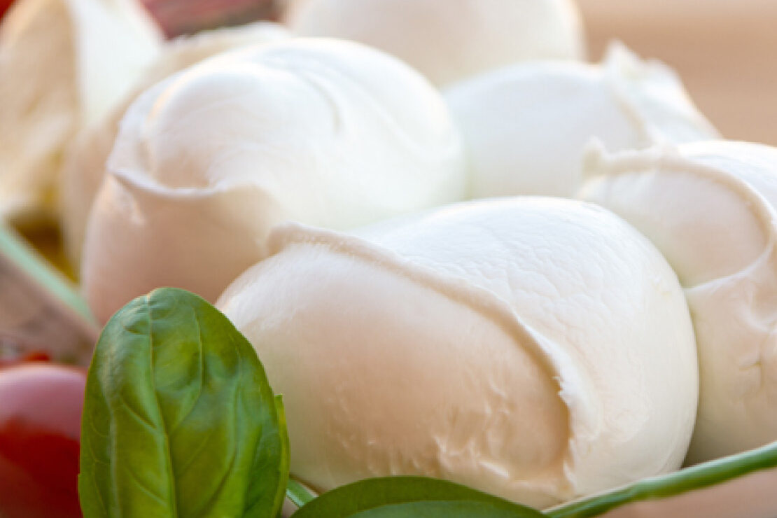 Formaggi e Coktail Mozzarella di Bufala Campana