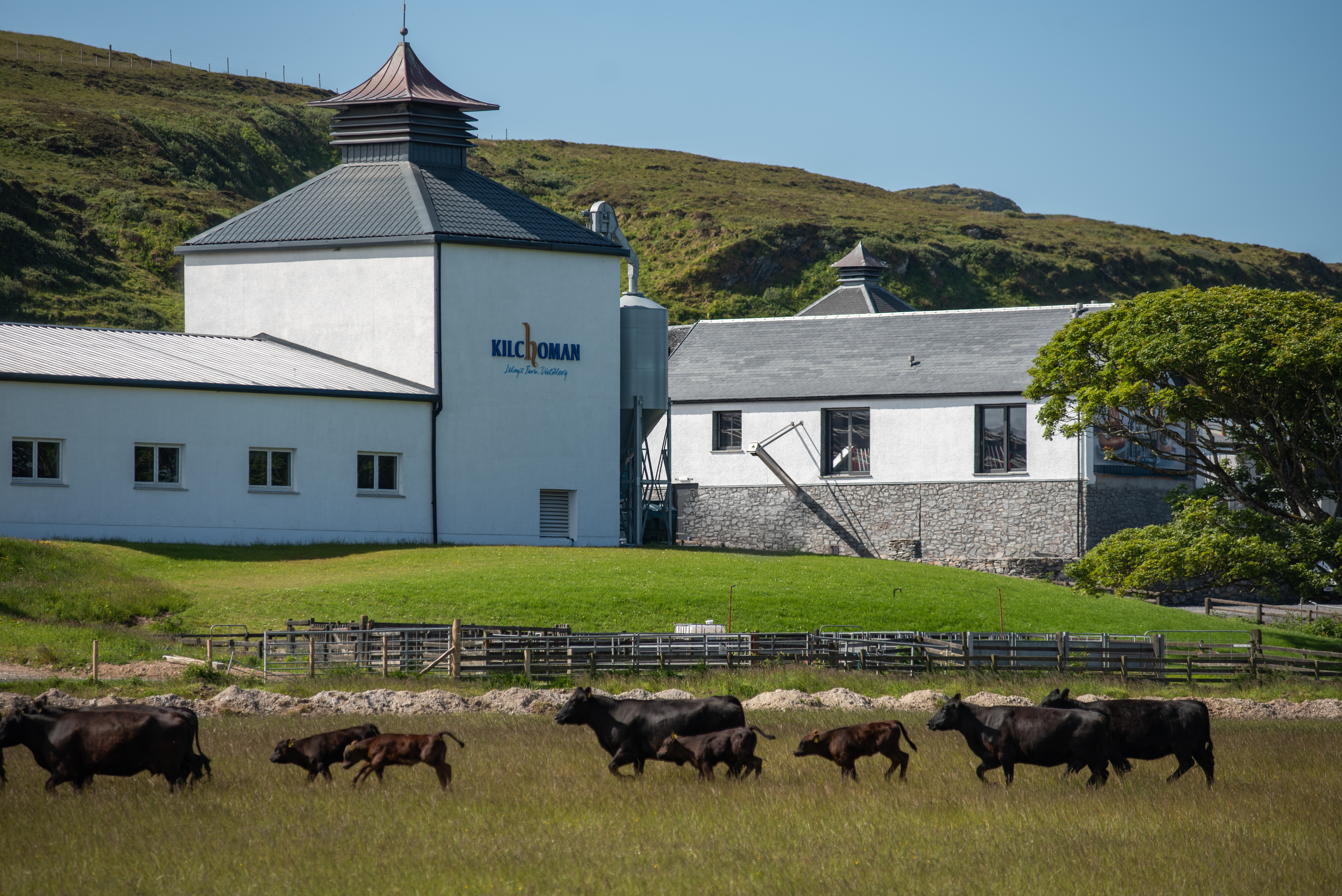 distilleria Kilchoman Islay 