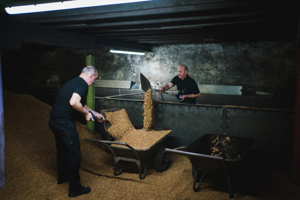 Lavorazione dell'orzo in modo artigianale - credits Springbank scozia distillery