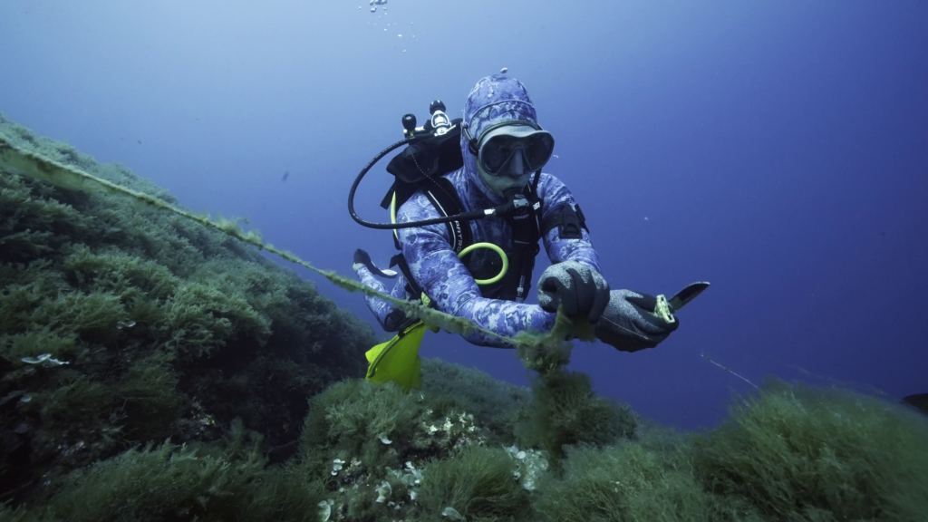 Gli operatori di Gin Mare  subacquei